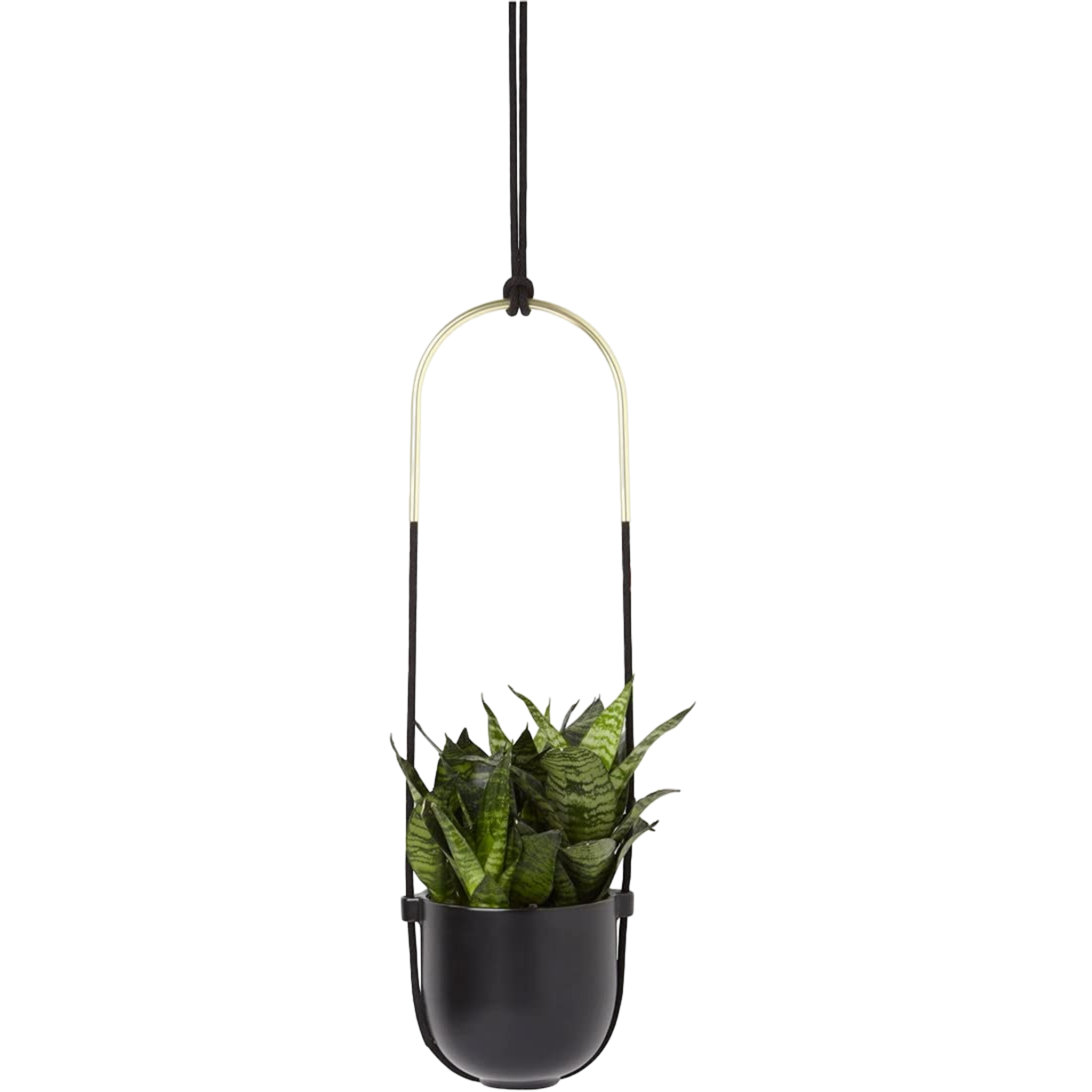 Umbra Bolo Hanging Planter - Black - Pro-Distributing